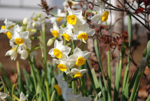 Photo_2