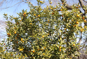 Photo_6