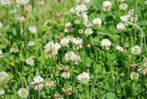 Photo_2