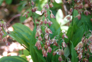 Photo_5