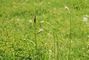 Photo_7