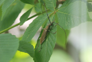 Photo_9