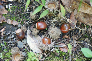 Photo_3