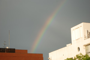 Photo_3