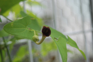 Photo_3