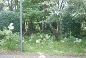 Photo_4 Photo_4