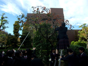 101_2681_2 101_2681_2